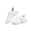 DLites 1.0 “White Silver”