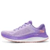 Go Run Persistence “Viola”