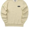 Maglione casual a maniche lunghe con logo stampato “Beige”